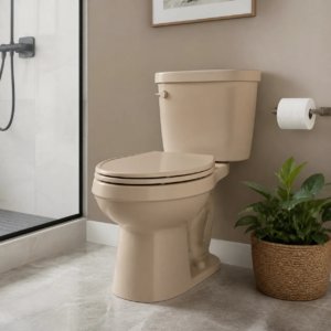 Leitfaden für mandelfarbene Toiletten: Stile, Funktionen und Kauftipps
