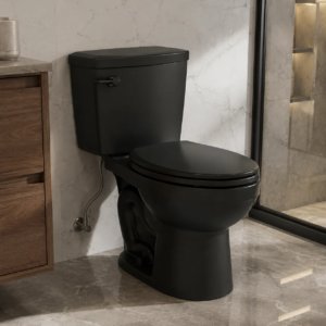 Black 18 Inch Comfort Height Two Piece Elongated Toilet