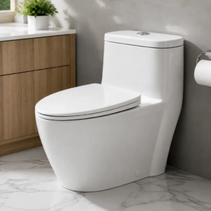 Einzelstück-Toilette 1,6 GPF Verlängerte Sitzhöhe