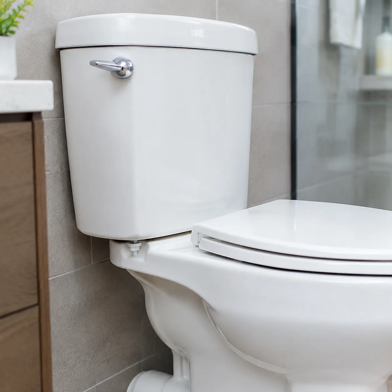 Two Piece Toilet Joint Area Cleaning and Leak Fix Guide