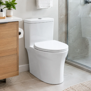 Washdown Two Piece Toilet With Efficient Flush